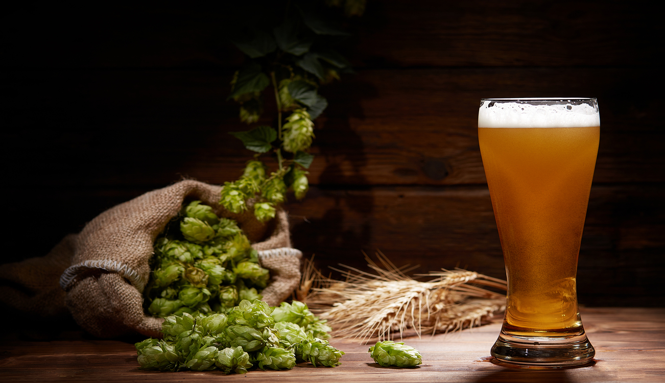 HOPS: ESSENTIAL FOR BEER PRODUCTION